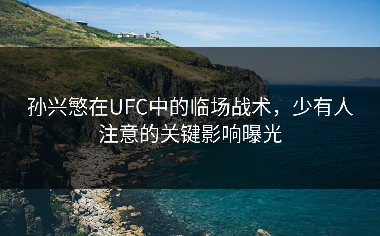 孙兴慜在UFC中的临场战术，少有人注意的关键影响曝光