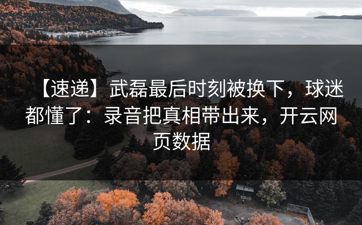 【速递】武磊最后时刻被换下，球迷都懂了：录音把真相带出来，开云网页数据
